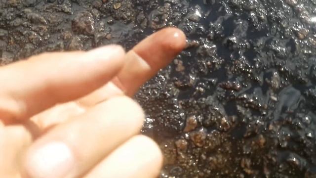 JavaScript Перспектива