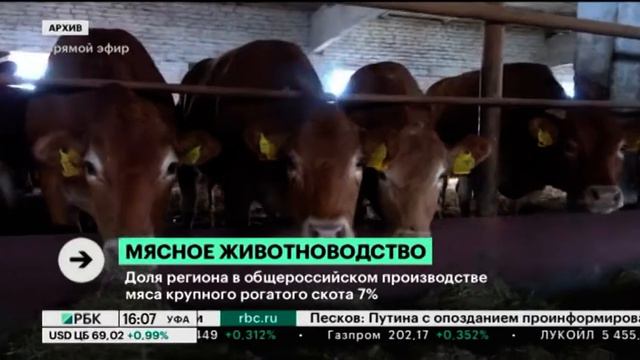 В РБ за 2019 г. произвели 113 тыс. тонн говядины в живом весе