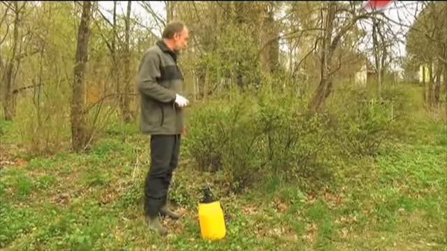 Строительный Анализ