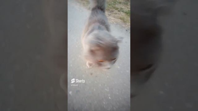 может 100 подписчиков?