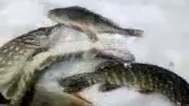 5b284f87379ae7bce789b6c3b64b2d9f