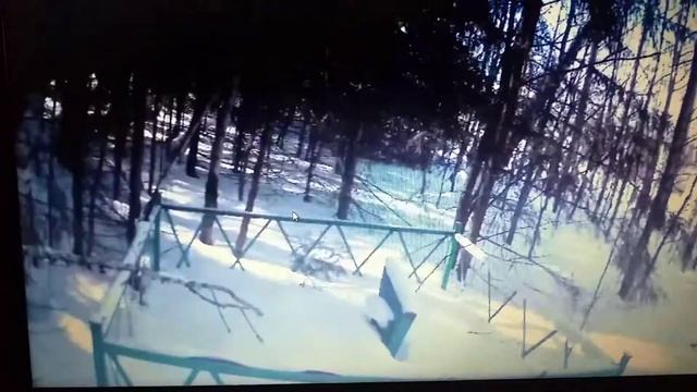 Я ПРОСТО ЖИВУ