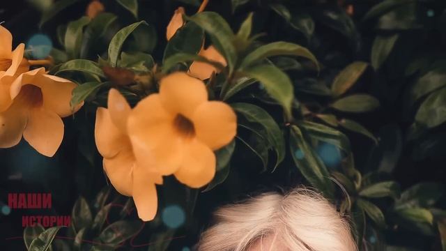Над 80-летней бабушкой смеялись в отделении. Но увидев фото ее сына, побледнели...