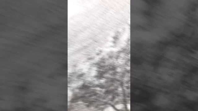 Свидетельство о явлении Божией Матери в Мариамполе под г. Августово 31 августа 1914 г.