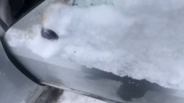 В гараже у Димона Авто-Разбор_102RUS