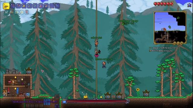 Прохождение terraria с мини акулой #1