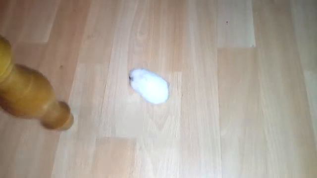 Ясечка в колесе/ она это любит