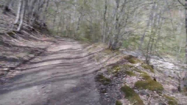 Планчиские скалы папай собер