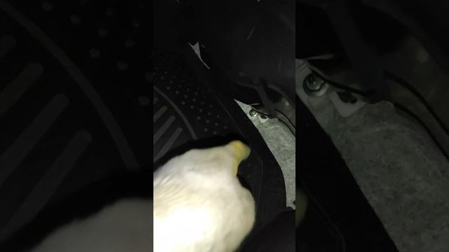 Автомобильный дизайн