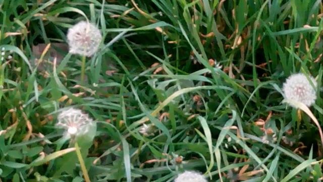 Первомайские Зарисовки