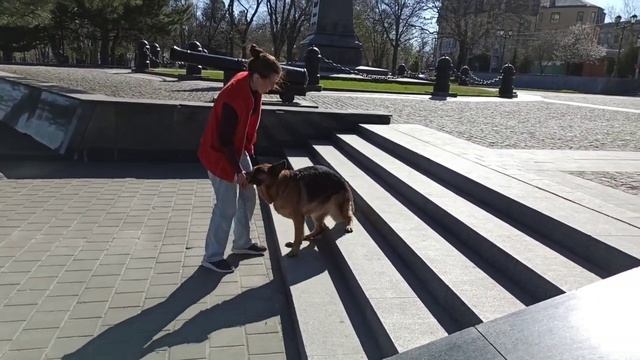 Команда 