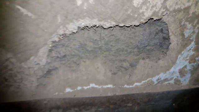 Я не дома,Крольчиха устроила бардак.