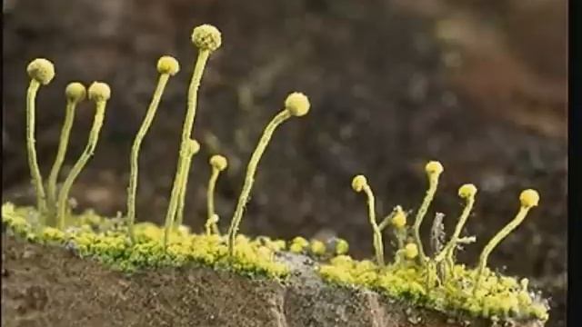 19413015dfc08ad672731026bcadddfd