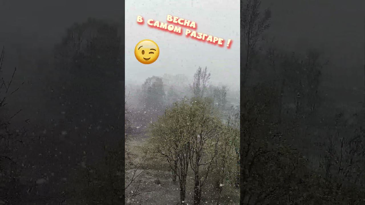 Весна в самом разгаре  10 мая 2024   #приколы #снегопад #смешныевидео #лето #пермскийкрай