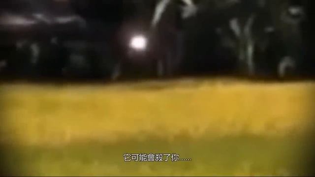 7个网络上最怪异离奇难以解释的恐怖悬疑视频