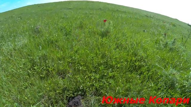 Неожиданные находки при поиске новых мест