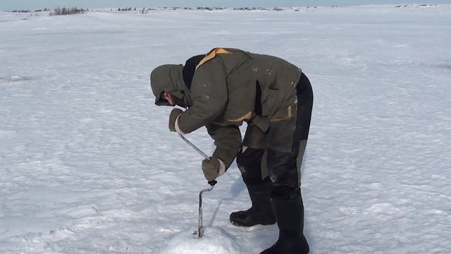Берегом Белого моря 2016