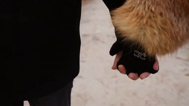 Love Story. Николай и Марина