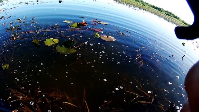 Злая щука в густой траве или ловля щуки в водяных джунглях рыбалка на севере 5