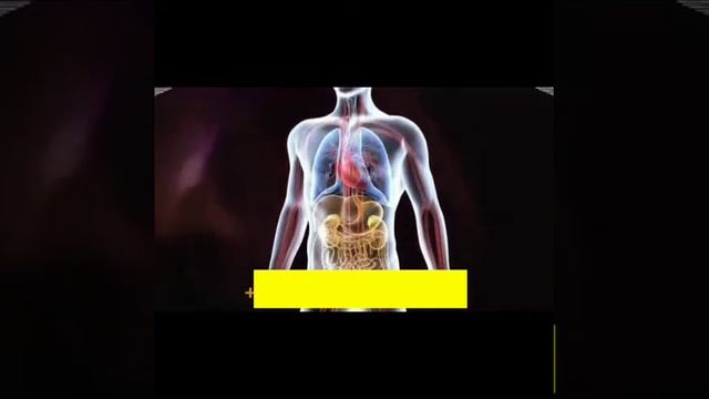 Чёрный тмин, кунжут