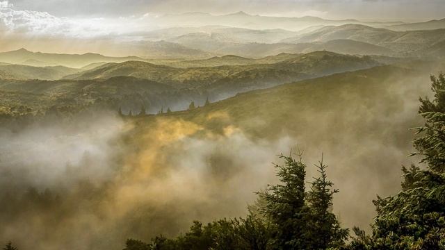 Музыка для сна. Фортепиано и Звуки живого леса | Music For Sleeping. Piano. Sounds Of The Forest