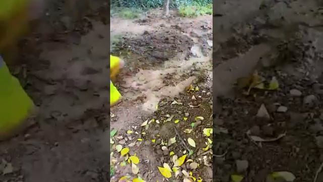 Силиконовые непромокаемые чехлы на обувь