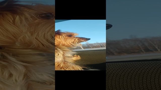 дорога во Владивосток