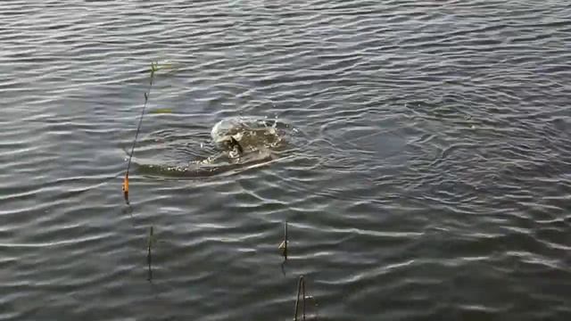 9fa6d427f8c5802321d0f58d27ad7f50