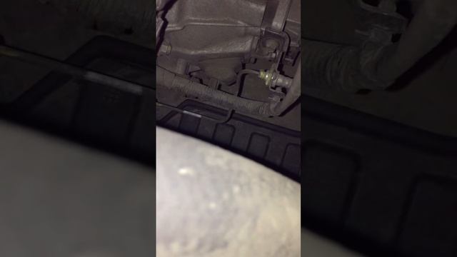 Красота автомобильного дизайна