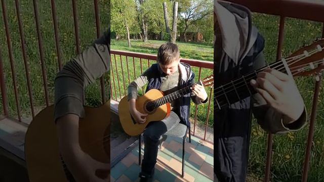 Одинокий странник... исп.Денис Мишакин