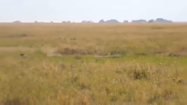 D558afc3a45075e89ab1c7c1bce1bfb7