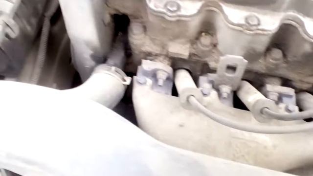 Daewoo Car Fun Facts