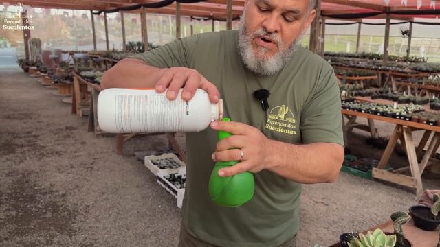 3 Formas De ADUBAR As Tua SUCULENTAS!