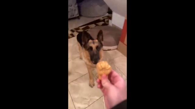 ПОДБОРКА НЕОБЫЧНЫХ МЕМОВ/UNUSUAL MEMES COMPILATION #7