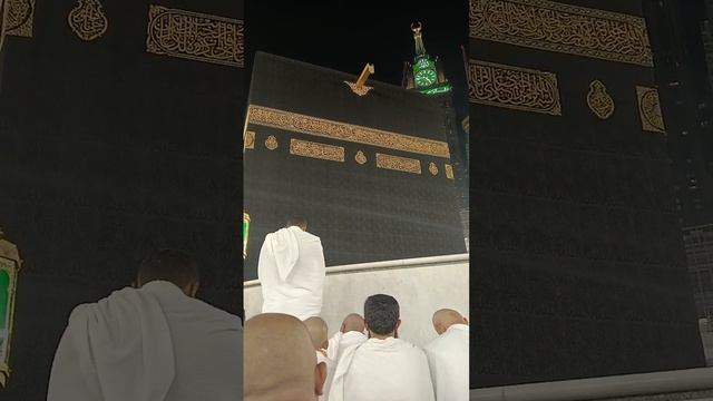 Cd6a1e474a32b63e348eca30a2610b34