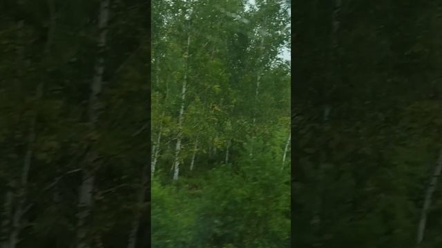 Марина . С любовью к жизни Channel24918351