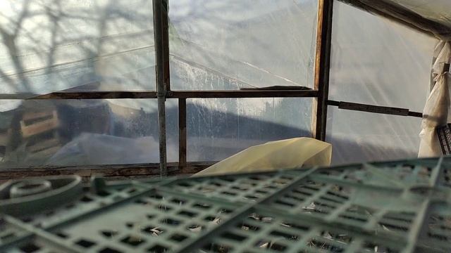 замена плёнки