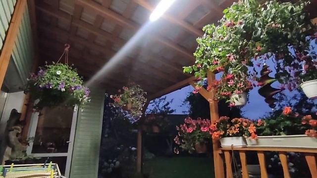 ГОТОВИМСЯ СТРОИТЬ НАВЕС ДЛЯ МАШИНЫ . ГРАНДИОЗНЫЕ ПЛАНЫ РАНО УТРОМ 14 АВГУСТА