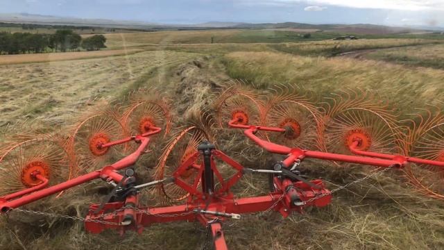 Закончил заготовку сена ? Т 40 в работе