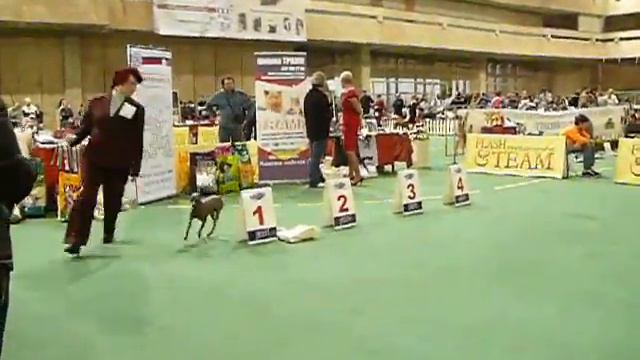 C6d8d3e592cc55220bb66f61257b972f