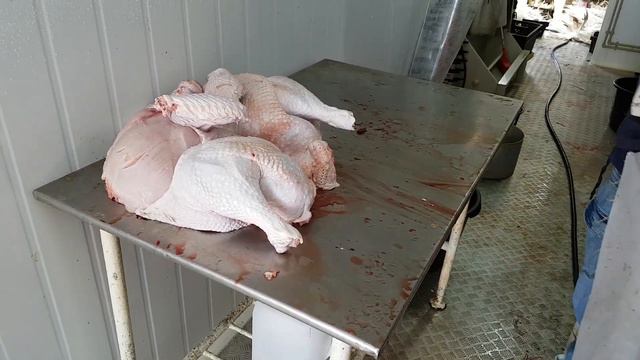 Разделка тушки индейки с помощью конуса для обвалки