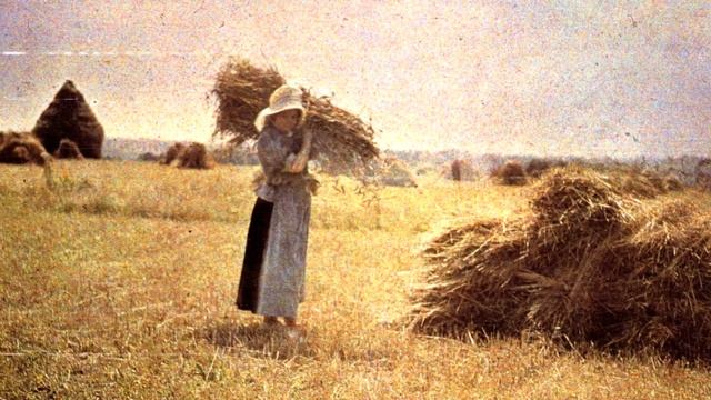 Мистика в лесу - Таежная поляна - Мистические истории из жизни.