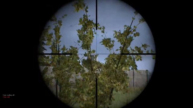 Dayz Standalone звери в лесу