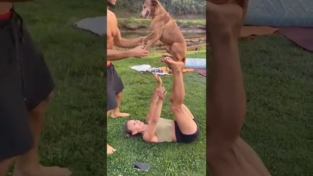 Dog AcroYoga!