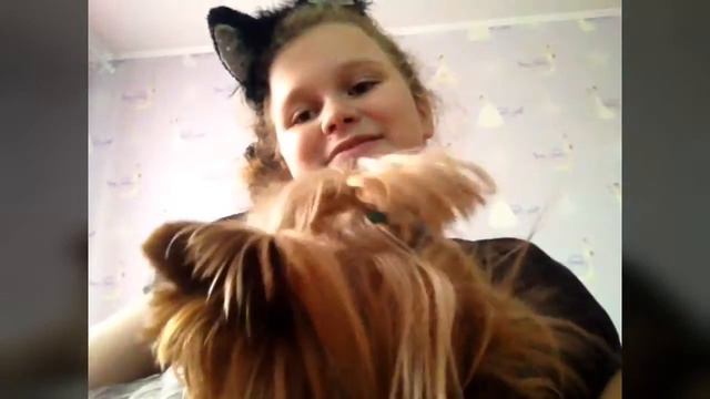 TAG: 10 фактов о КОКОСЕ🐶🐶🐶