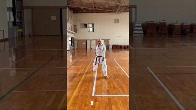 Happo-no-kata (Omote) (八方之形 (表))
