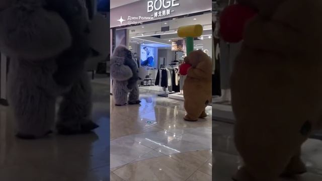 Если бы мы с другом вместе устроились на работу