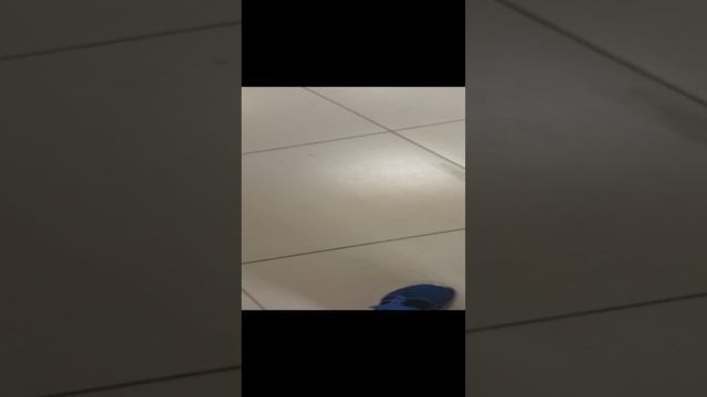 6d657770d51c491aa26b372412504d7f