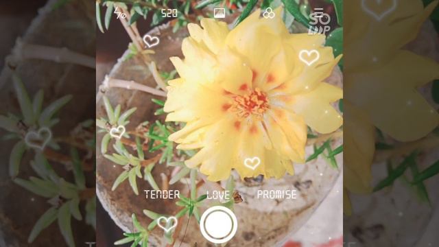 Good Evening Dear Friends.Take  Care Your And Family And Friends.