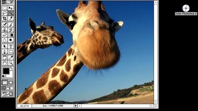 500097cefd272b26085bd20db6b674df